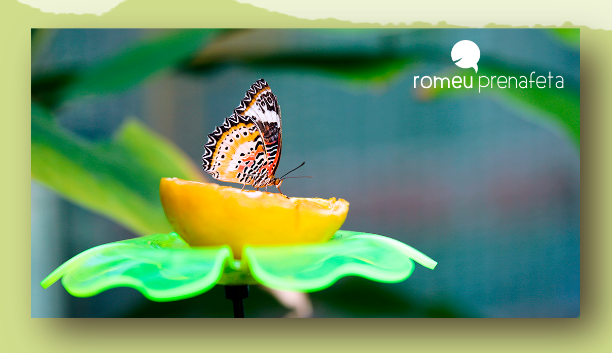 24 estratègies. Màrqueting de col·laboració